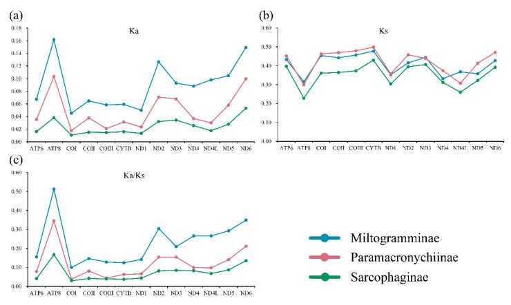 https://cdn.ncbi.nlm.nih.gov/pmc/blobs/cc0f/9408989/39ce0b4c3485/insects-13-00718-g003.jpg
