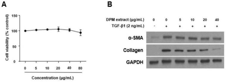 https://cdn.ncbi.nlm.nih.gov/pmc/blobs/cc13/8796030/8e75eaef7ab6/nutrients-14-00098-g001.jpg