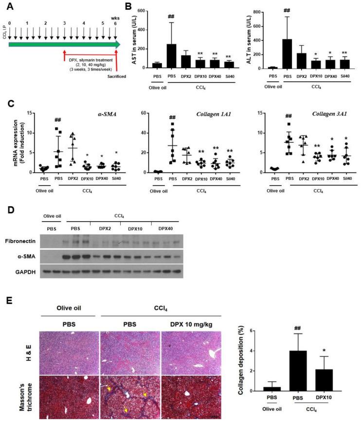 https://cdn.ncbi.nlm.nih.gov/pmc/blobs/cc13/8796030/a0775ec2ca00/nutrients-14-00098-g004.jpg