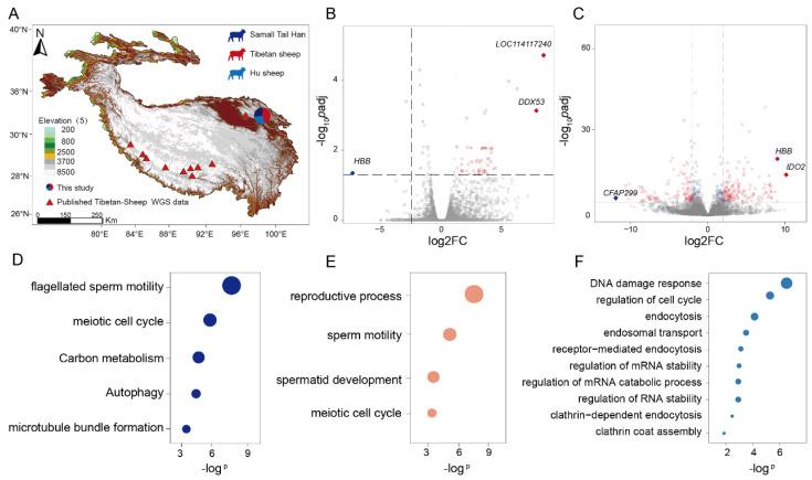 https://cdn.ncbi.nlm.nih.gov/pmc/blobs/cc17/12385295/453b13d24d9b/genes-16-00909-g001.jpg