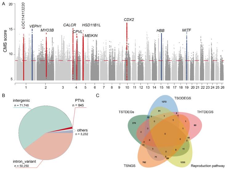https://cdn.ncbi.nlm.nih.gov/pmc/blobs/cc17/12385295/8d316c63e8bd/genes-16-00909-g002.jpg