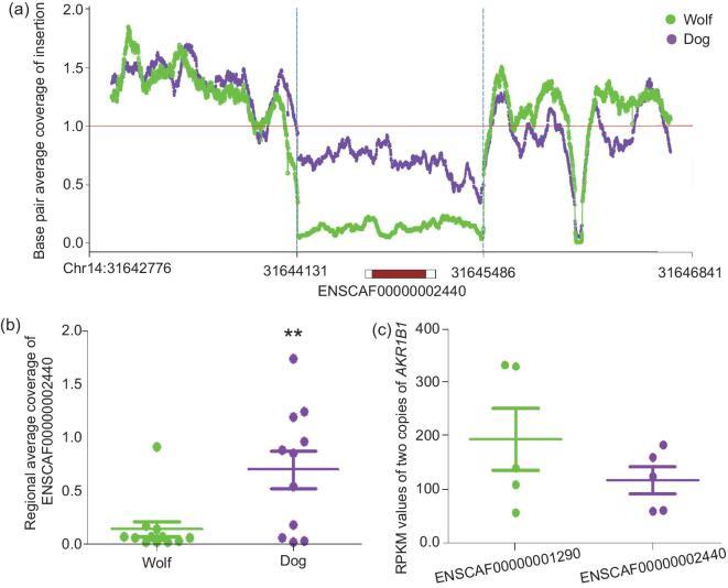 https://cdn.ncbi.nlm.nih.gov/pmc/blobs/cc19/8291444/32ebd7f8a741/nwy076fig4.jpg