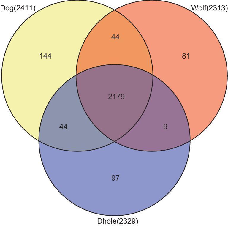 https://cdn.ncbi.nlm.nih.gov/pmc/blobs/cc19/8291444/665311bd6b7f/nwy076fig2.jpg