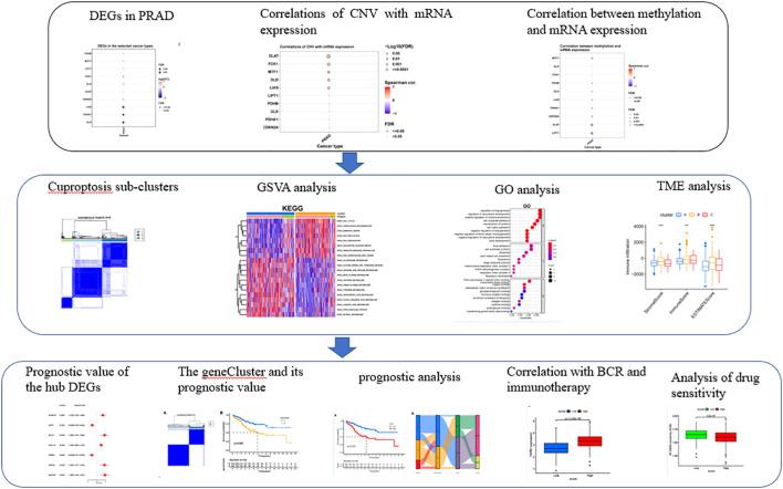 https://cdn.ncbi.nlm.nih.gov/pmc/blobs/cc19/9530990/17d3997cedda/fimmu-13-974034-g001.jpg
