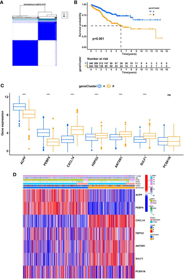 https://cdn.ncbi.nlm.nih.gov/pmc/blobs/cc19/9530990/ebc3d0d963b9/fimmu-13-974034-g009.jpg