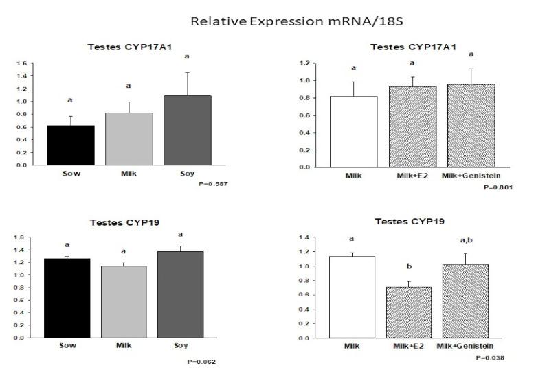 https://cdn.ncbi.nlm.nih.gov/pmc/blobs/cc1a/8912539/1aa43c9eaa34/nutrients-14-01126-g005.jpg