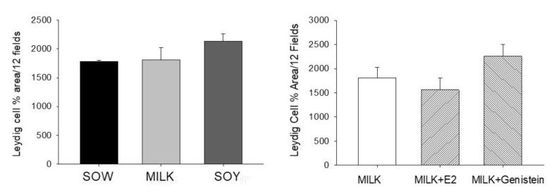 https://cdn.ncbi.nlm.nih.gov/pmc/blobs/cc1a/8912539/2a3a3bd88516/nutrients-14-01126-g002.jpg