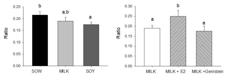 https://cdn.ncbi.nlm.nih.gov/pmc/blobs/cc1a/8912539/7caca8d8886b/nutrients-14-01126-g001.jpg