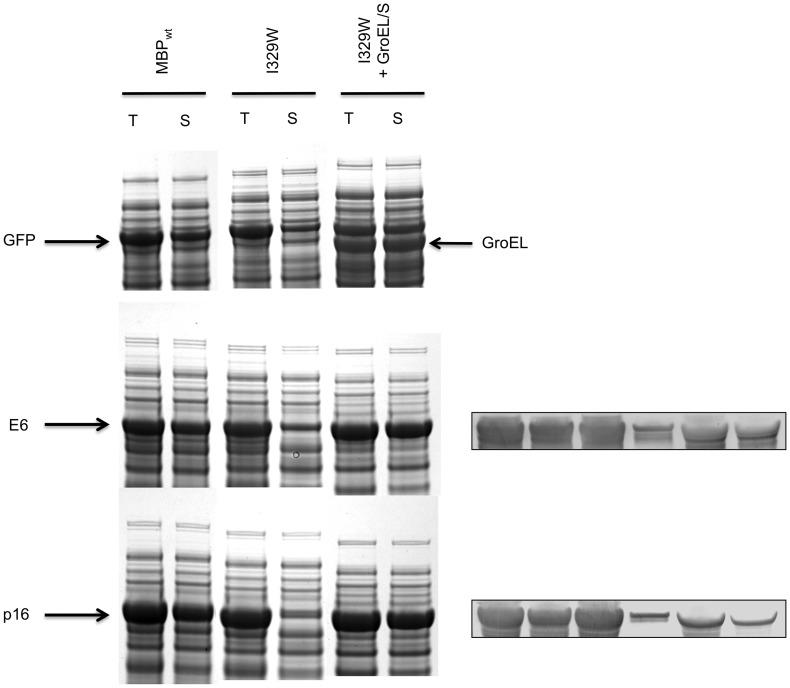 https://cdn.ncbi.nlm.nih.gov/pmc/blobs/cc1b/3500312/cf999c332427/pone.0049589.g006.jpg