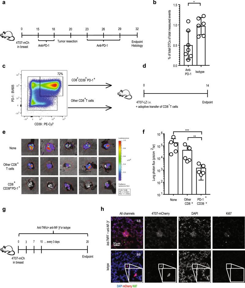 https://cdn.ncbi.nlm.nih.gov/pmc/blobs/cc1c/7859213/3b44fdfb9d28/41467_2021_21045_Fig4_HTML.jpg