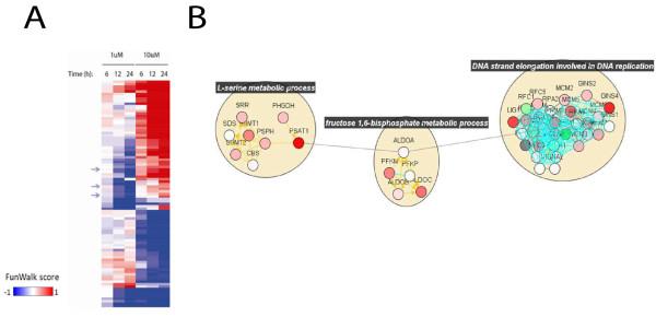 https://cdn.ncbi.nlm.nih.gov/pmc/blobs/cc1e/3439272/7a35463410dd/1471-2164-13-282-5.jpg