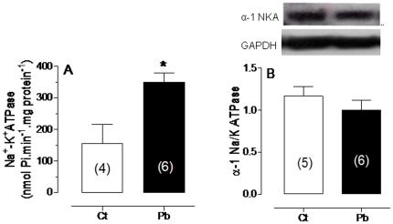 https://cdn.ncbi.nlm.nih.gov/pmc/blobs/cc22/3073979/3dbdb0f07a24/pone.0018730.g004.jpg