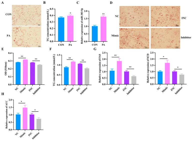 https://cdn.ncbi.nlm.nih.gov/pmc/blobs/cc23/10531573/cf8397377281/ijms-24-14025-g005.jpg