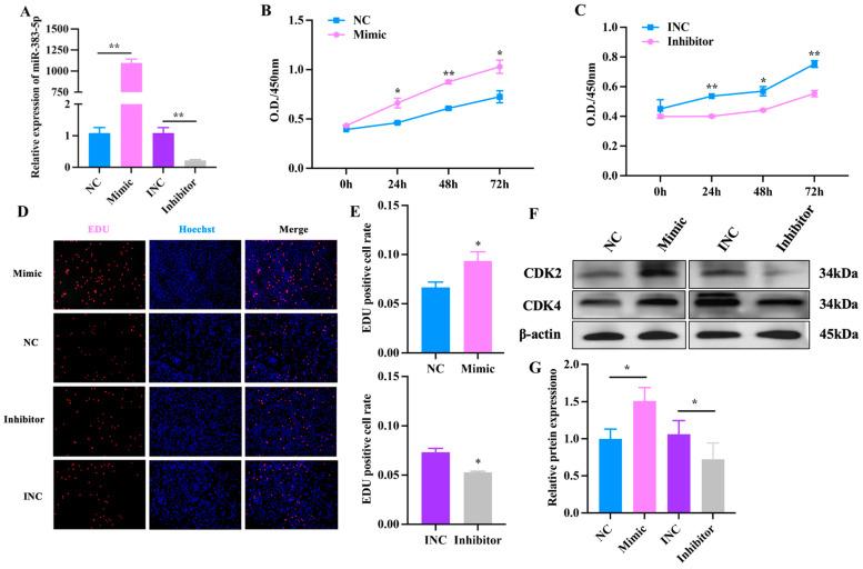 https://cdn.ncbi.nlm.nih.gov/pmc/blobs/cc23/10531573/e6feb16d7af3/ijms-24-14025-g003.jpg