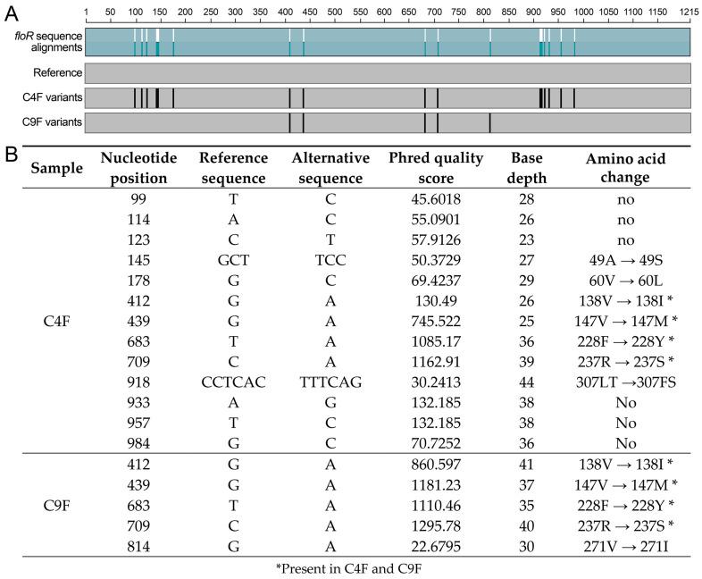 https://cdn.ncbi.nlm.nih.gov/pmc/blobs/cc23/11851438/6f5078829d7d/antibiotics-14-00122-g003.jpg