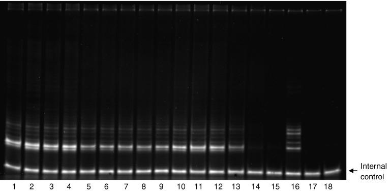 https://cdn.ncbi.nlm.nih.gov/pmc/blobs/cc23/3723976/52e66aa5bb2a/11033_2013_2600_Fig1_HTML.jpg