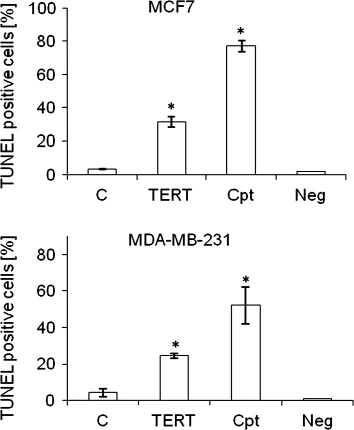 https://cdn.ncbi.nlm.nih.gov/pmc/blobs/cc23/3723976/774d99ea6e00/11033_2013_2600_Fig4_HTML.jpg