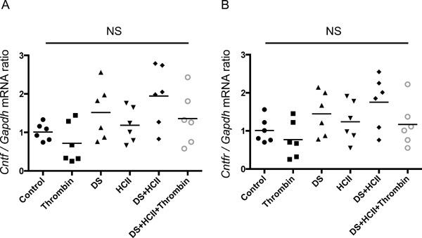 https://cdn.ncbi.nlm.nih.gov/pmc/blobs/cc23/5742367/3cceb2020ada/jat-24-1215-g007.jpg
