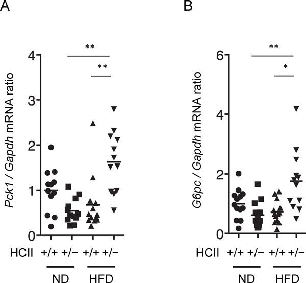 https://cdn.ncbi.nlm.nih.gov/pmc/blobs/cc23/5742367/8025b53234f5/jat-24-1215-g005.jpg