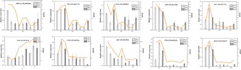 https://cdn.ncbi.nlm.nih.gov/pmc/blobs/cc23/9531472/1025a9196898/12870_2022_3853_Fig7_HTML.jpg