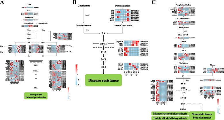 https://cdn.ncbi.nlm.nih.gov/pmc/blobs/cc23/9531472/12a5df4bd0e6/12870_2022_3853_Fig6_HTML.jpg