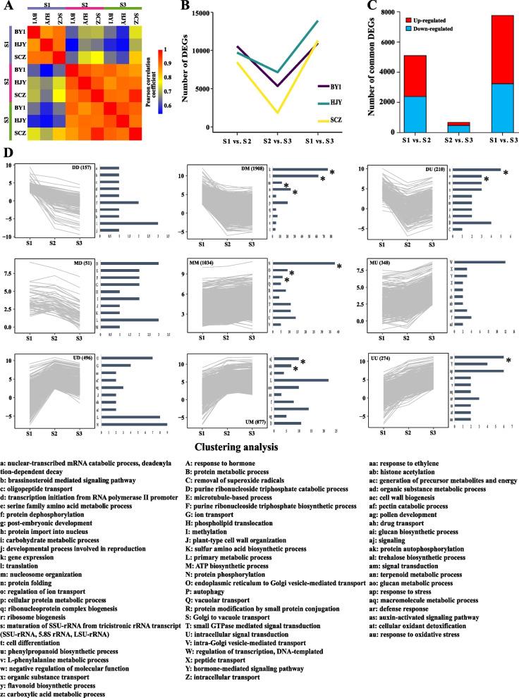 https://cdn.ncbi.nlm.nih.gov/pmc/blobs/cc23/9531472/928fddb09e12/12870_2022_3853_Fig1_HTML.jpg