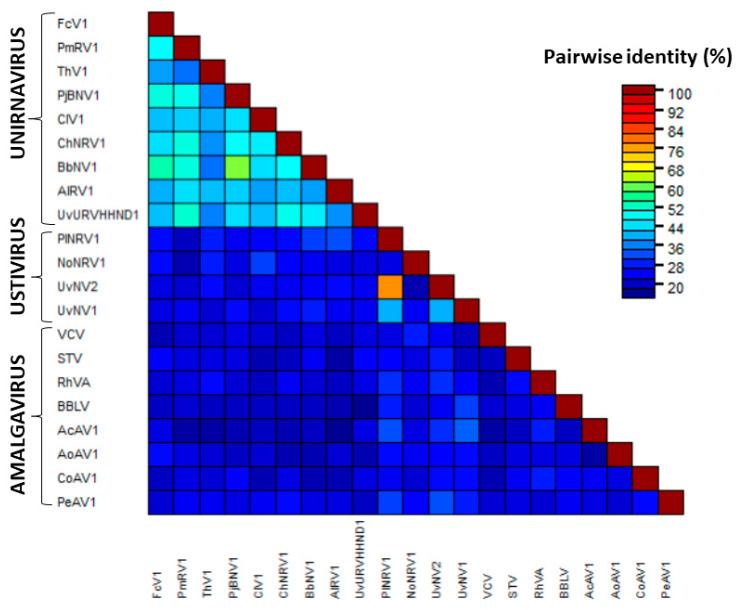 https://cdn.ncbi.nlm.nih.gov/pmc/blobs/cc25/7290986/6fbbe7e6a816/viruses-12-00523-g002.jpg