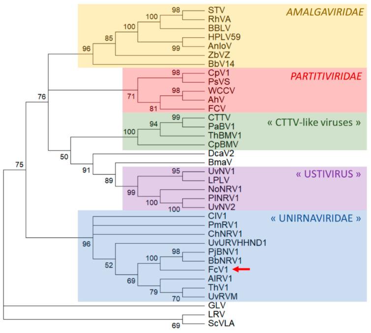 https://cdn.ncbi.nlm.nih.gov/pmc/blobs/cc25/7290986/788ab7cc1f4f/viruses-12-00523-g006.jpg