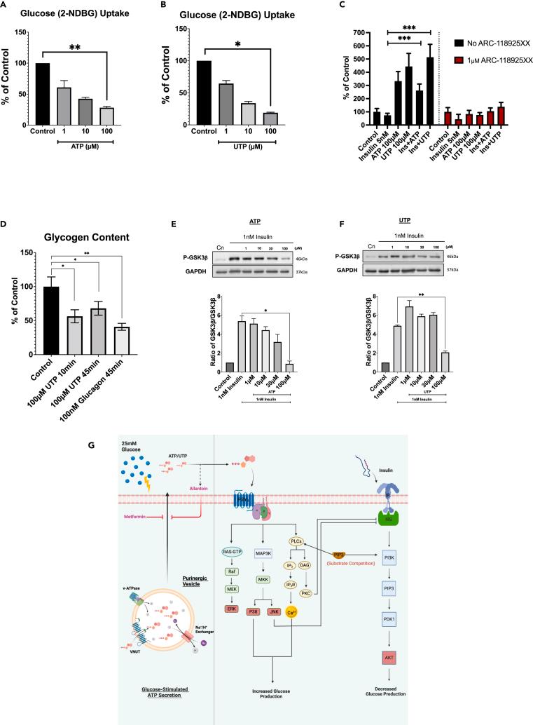 https://cdn.ncbi.nlm.nih.gov/pmc/blobs/cc26/10291329/4277b3e773a3/gr3.jpg