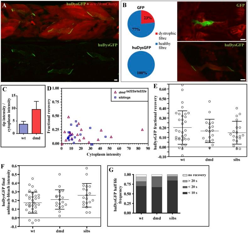 https://cdn.ncbi.nlm.nih.gov/pmc/blobs/cc29/4601390/9f49040f30de/elife06541f008.jpg