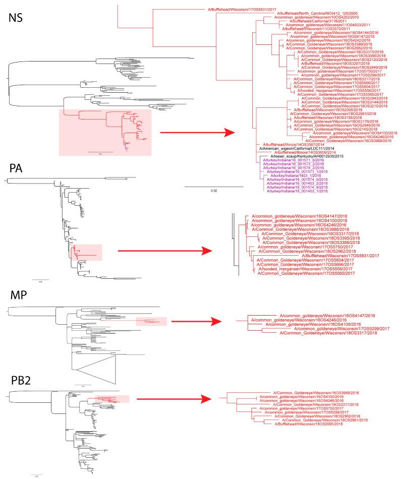 https://cdn.ncbi.nlm.nih.gov/pmc/blobs/cc29/7911388/352d95a1b529/viruses-13-00172-g001.jpg