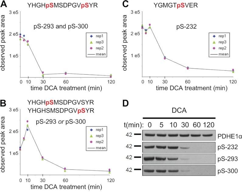 https://cdn.ncbi.nlm.nih.gov/pmc/blobs/cc2a/3418851/3f1e2b689ba9/zjw0071241850005.jpg