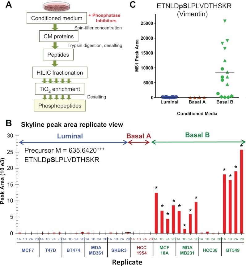 https://cdn.ncbi.nlm.nih.gov/pmc/blobs/cc2a/3418851/a5b4e268b152/zjw0071241850006.jpg