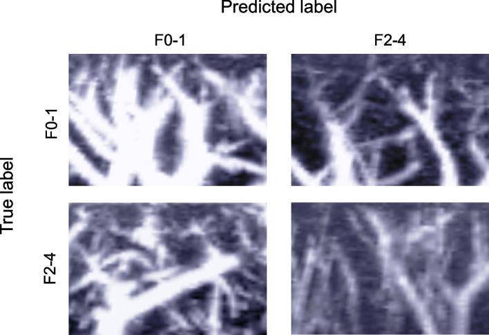 https://cdn.ncbi.nlm.nih.gov/pmc/blobs/cc2b/11706143/a1cc6b9e84d4/12880_2024_1531_Fig6_HTML.jpg