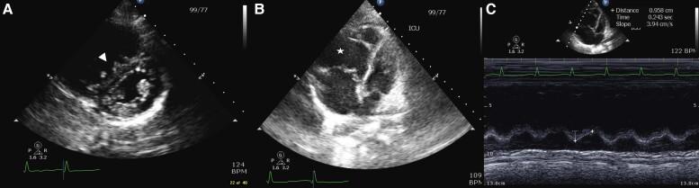 https://cdn.ncbi.nlm.nih.gov/pmc/blobs/cc2c/10464571/b890cfe0d4a7/ytad404f2.jpg