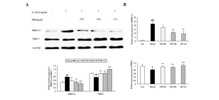 https://cdn.ncbi.nlm.nih.gov/pmc/blobs/cc2d/4151698/13c4012e9dab/ETM-08-04-1065-g07.jpg