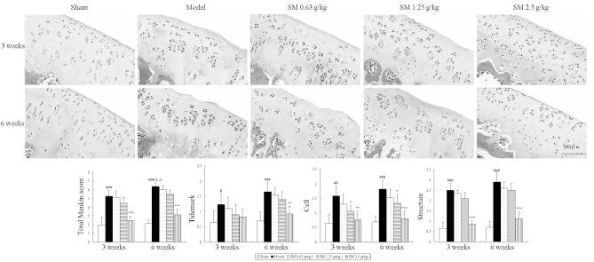 https://cdn.ncbi.nlm.nih.gov/pmc/blobs/cc2d/4151698/20c864467262/ETM-08-04-1065-g00.jpg