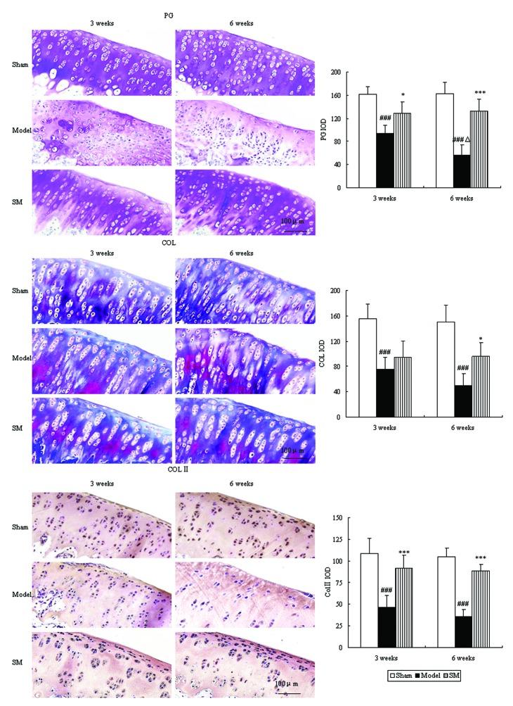 https://cdn.ncbi.nlm.nih.gov/pmc/blobs/cc2d/4151698/40ffb9fb38ce/ETM-08-04-1065-g03.jpg