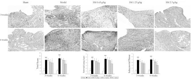 https://cdn.ncbi.nlm.nih.gov/pmc/blobs/cc2d/4151698/569c7fd5bb7d/ETM-08-04-1065-g01.jpg