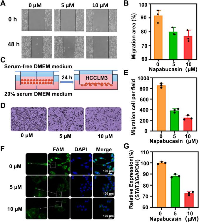https://cdn.ncbi.nlm.nih.gov/pmc/blobs/cc2f/11920302/0aa4e5c90428/604_2025_6988_Fig5_HTML.jpg