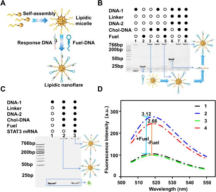https://cdn.ncbi.nlm.nih.gov/pmc/blobs/cc2f/11920302/1e880ab87184/604_2025_6988_Fig1_HTML.jpg