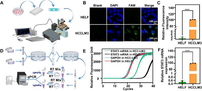 https://cdn.ncbi.nlm.nih.gov/pmc/blobs/cc2f/11920302/52a203cc10ef/604_2025_6988_Fig3_HTML.jpg