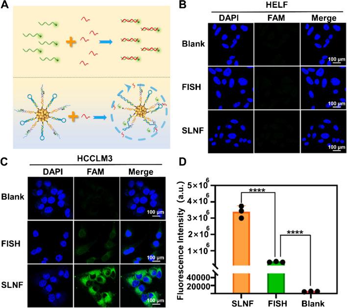 https://cdn.ncbi.nlm.nih.gov/pmc/blobs/cc2f/11920302/b5d08e4a86dc/604_2025_6988_Fig4_HTML.jpg