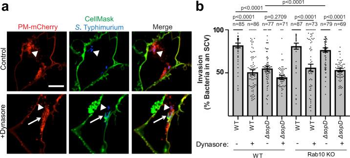 https://cdn.ncbi.nlm.nih.gov/pmc/blobs/cc2f/8339009/e49fe225eb46/41467_2021_24983_Fig6_HTML.jpg