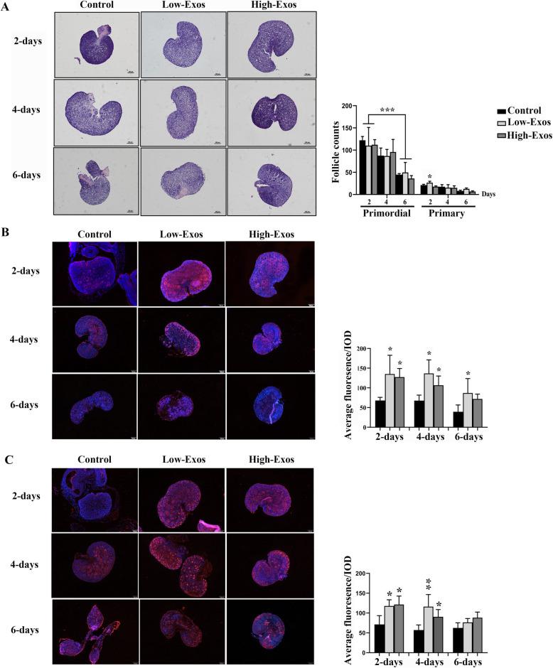 https://cdn.ncbi.nlm.nih.gov/pmc/blobs/cc30/7953711/f18030619cdc/13287_2021_2255_Fig2_HTML.jpg
