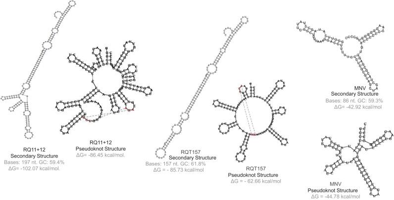 https://cdn.ncbi.nlm.nih.gov/pmc/blobs/cc31/5986701/417d423d3839/gr1.jpg