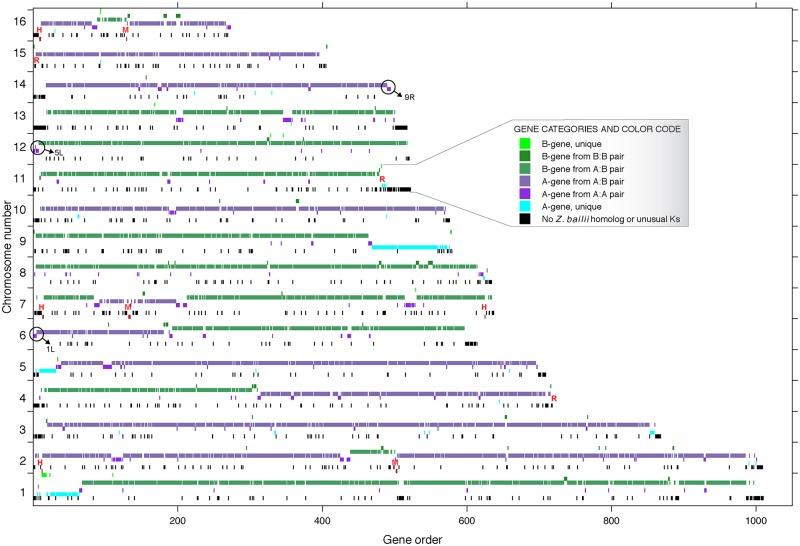 https://cdn.ncbi.nlm.nih.gov/pmc/blobs/cc32/5433688/40896535cb08/pbio.2002128.g004.jpg