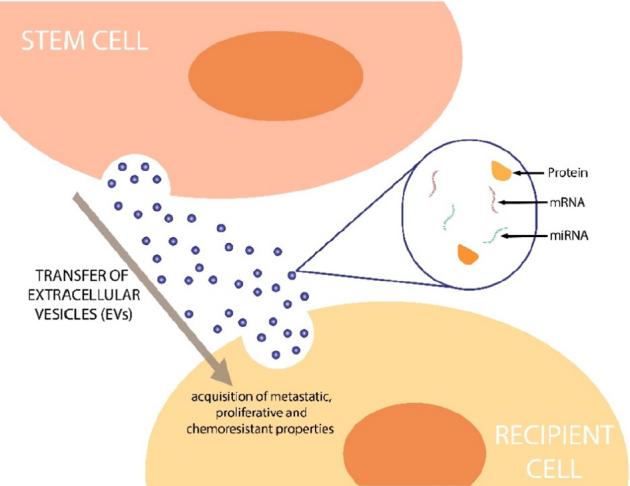 https://cdn.ncbi.nlm.nih.gov/pmc/blobs/cc32/9019200/3bbf03cde864/cdr-2-1127.fig.2.jpg