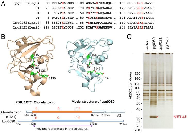 https://cdn.ncbi.nlm.nih.gov/pmc/blobs/cc32/9191684/332c280e4aba/pnas.2122872119fig01.jpg