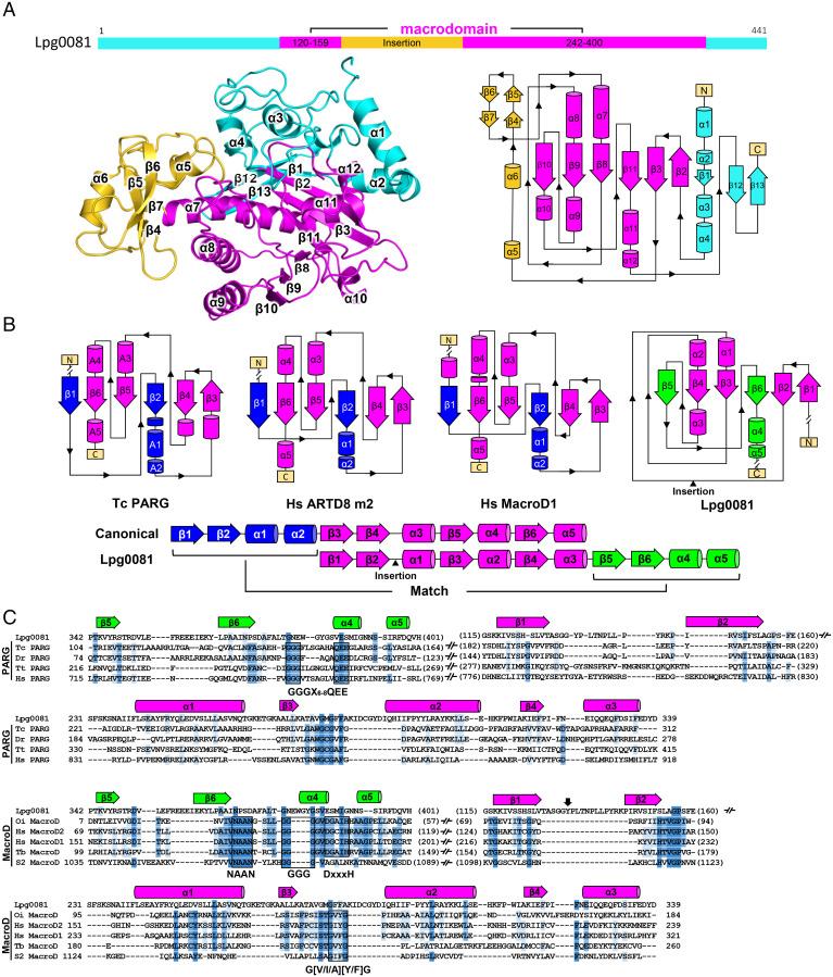 https://cdn.ncbi.nlm.nih.gov/pmc/blobs/cc32/9191684/c3b26095aa40/pnas.2122872119fig05.jpg